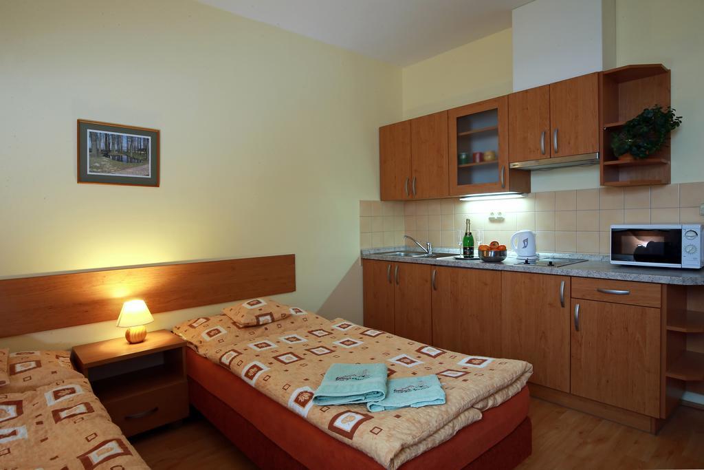 Wellness Penzion Pod Rozhlednou Kostelec nad Orlici Room photo